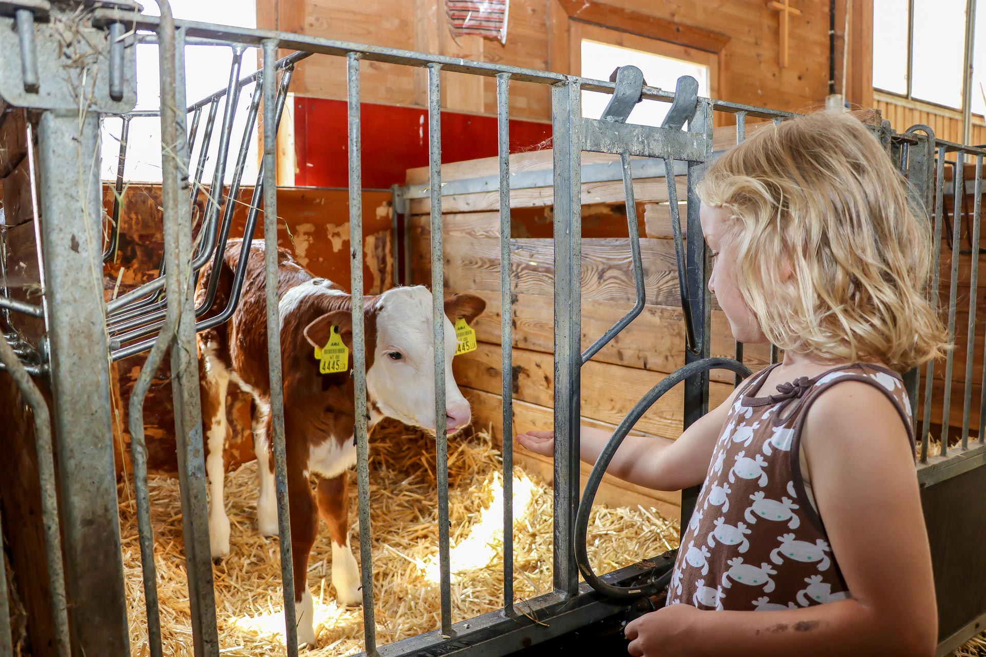 Biobauernhof Maishofen Kinder Sommerferien 248