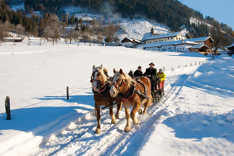 Winter Pferdekutsche 1